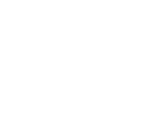 Zinnia